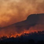 Meshed Leverages IoT to Enhance Bushfire Risk