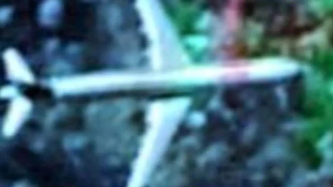 Google image plane